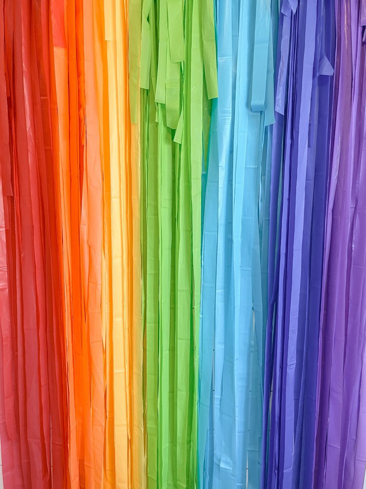 Classic Rainbow Fringe Streamer Backdrop