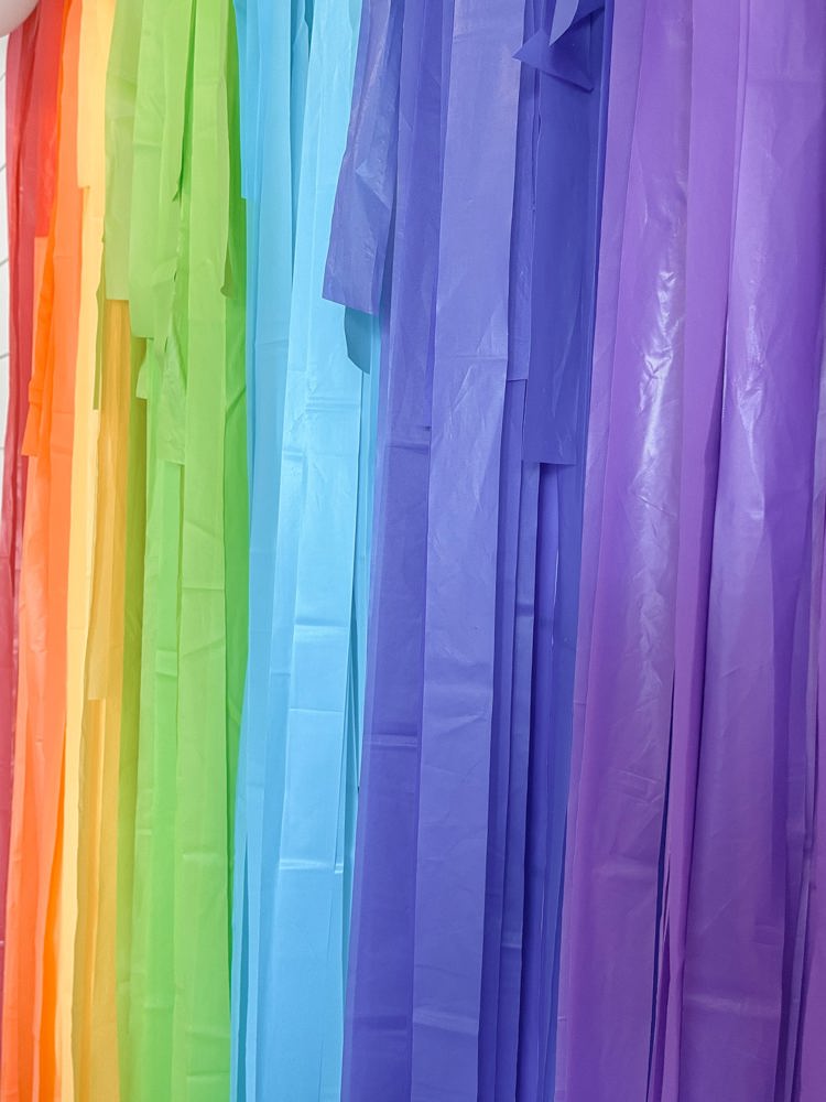 Classic Rainbow Fringe Streamer Backdrop