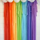  Classic Rainbow Fringe Streamer Backdrop