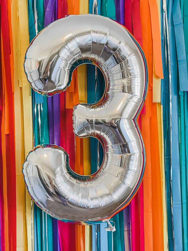 Fringe Backdrop, Streamer Backdrop, Bright Backdrop, Birthday Party Backdrop, Bright Rainbow, Rainbow Party, Rainbow Backdrop