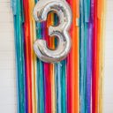  Fringe Backdrop, Streamer Backdrop, Bright Backdrop, Birthday Party Backdrop, Bright Rainbow, Rainbow Party, Rainbow Backdrop