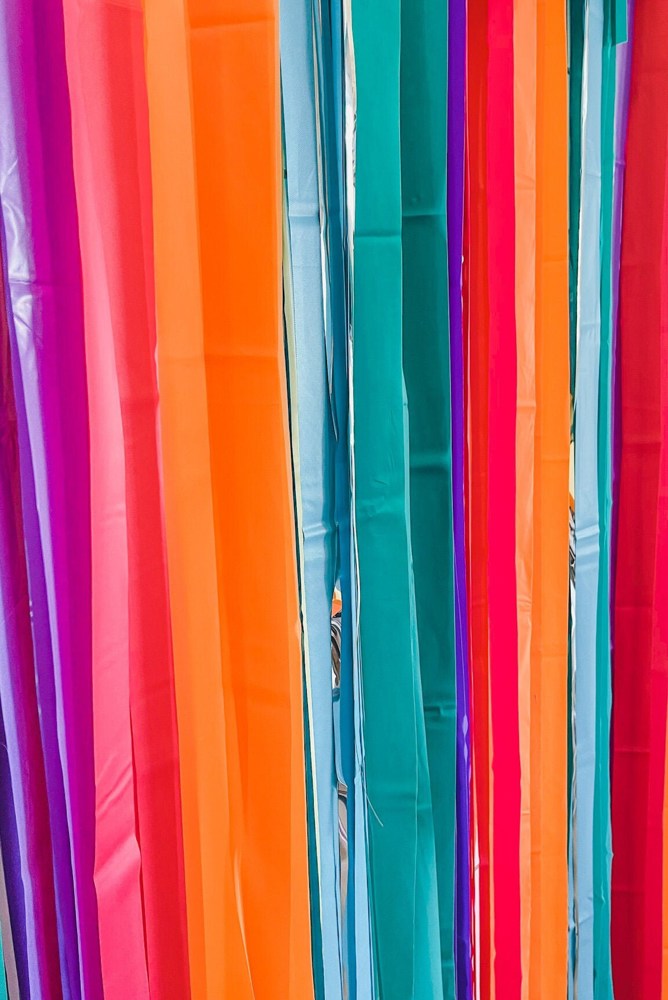 Fringe Backdrop, Streamer Backdrop, Bright Backdrop, Birthday Party Backdrop, Bright Rainbow, Rainbow Party, Rainbow Backdrop