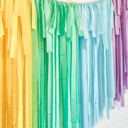  Pastel Rainbow Short Fringe Streamer Backdrop