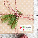  Grinch - Personalized Christmas Gift Stickers