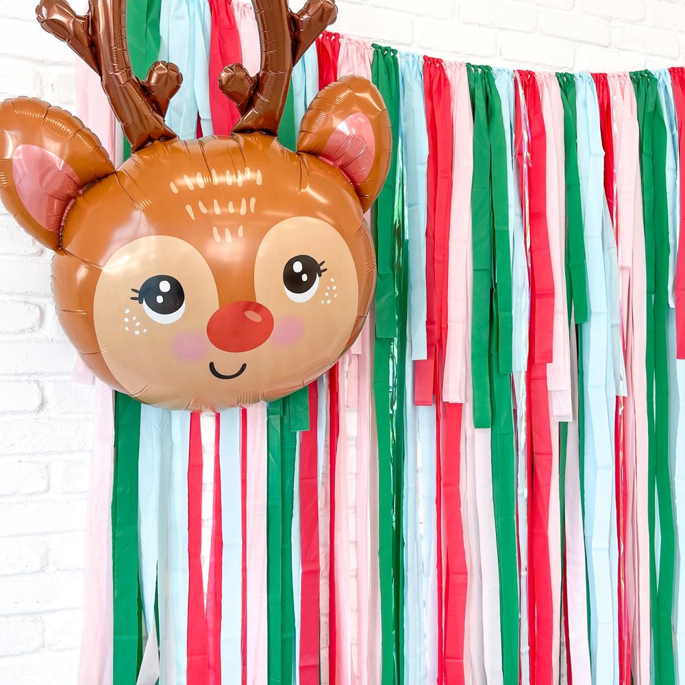 Holiday Fringe Backdrop| Christmas