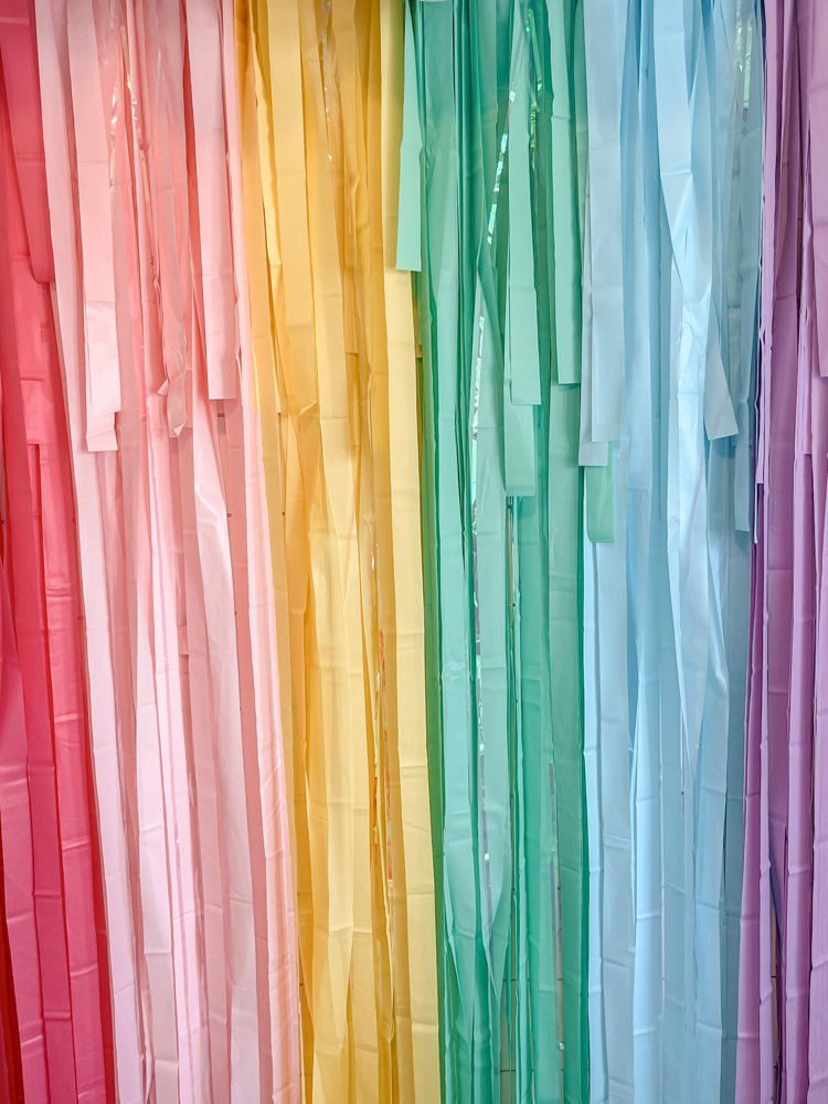 Pastel Rainbow Fringe Streamer Backdrop