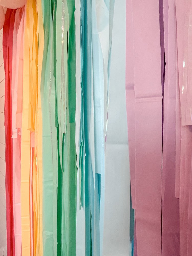 Pastel Rainbow Fringe Streamer Backdrop