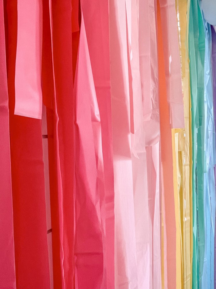 Pastel Rainbow Fringe Streamer Backdrop