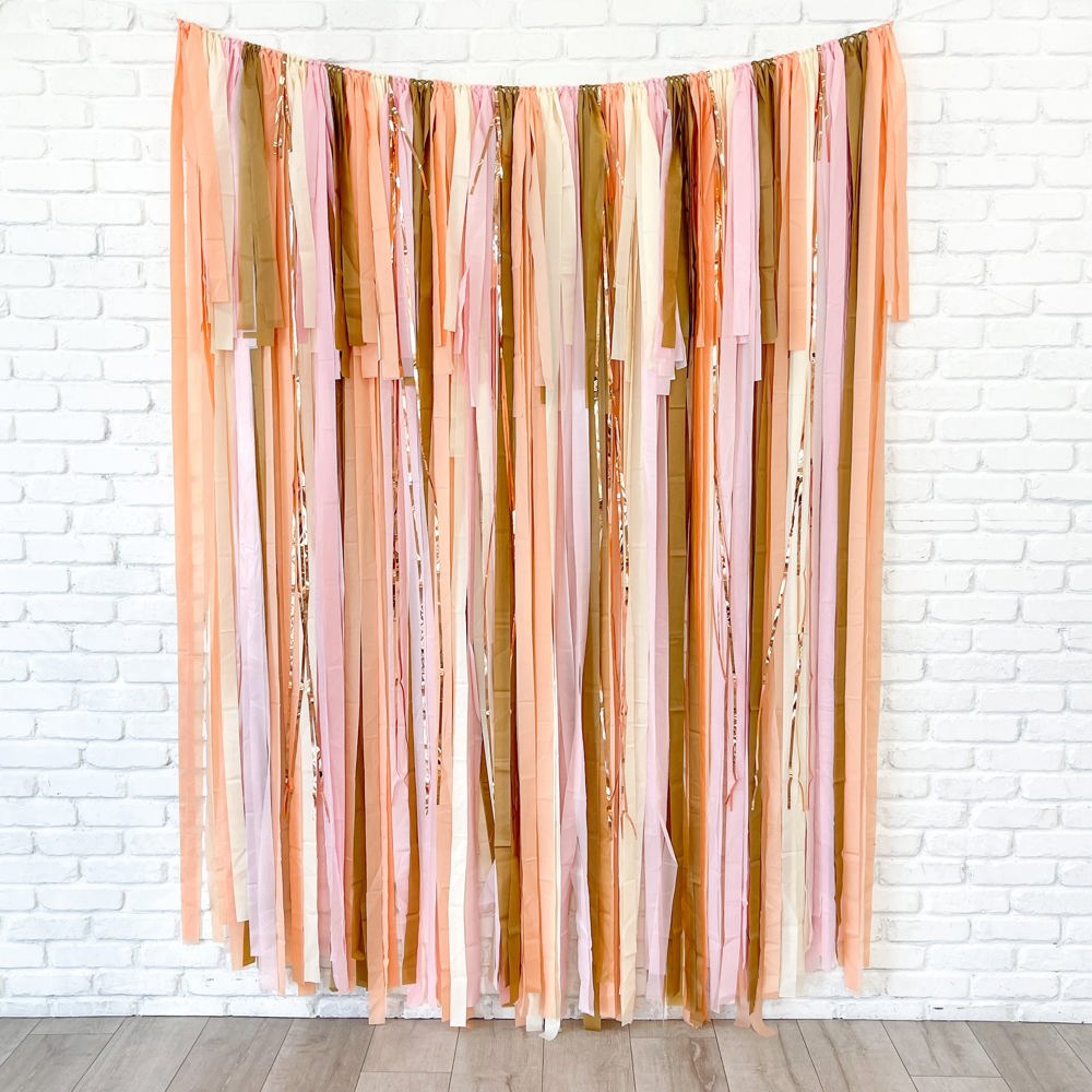 Peaches and Cream Fringe Streamer Backdrop