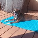 2-piece 2-piece Pet Cooling Mat