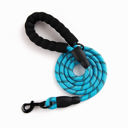 Blue Single Reflective Dog Leash w/Poop Bag Dispenser