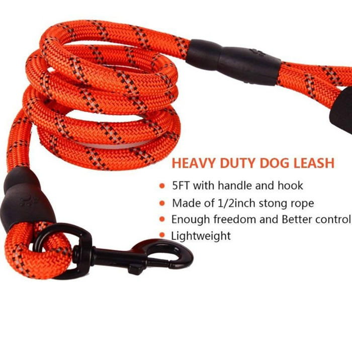 Reflective Dog Leash w/Poop Bag Dispenser