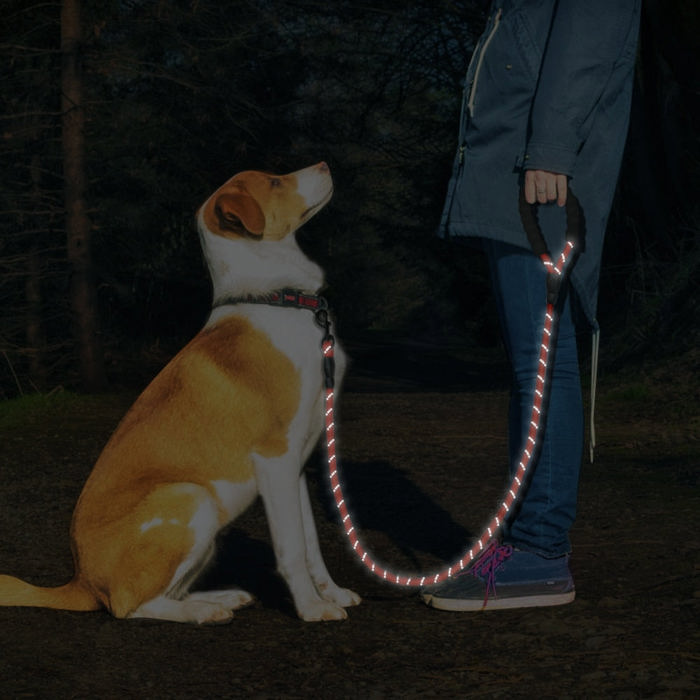 Reflective Dog Leash w/Poop Bag Dispenser