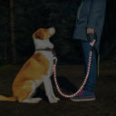  Reflective Dog Leash w/Poop Bag Dispenser