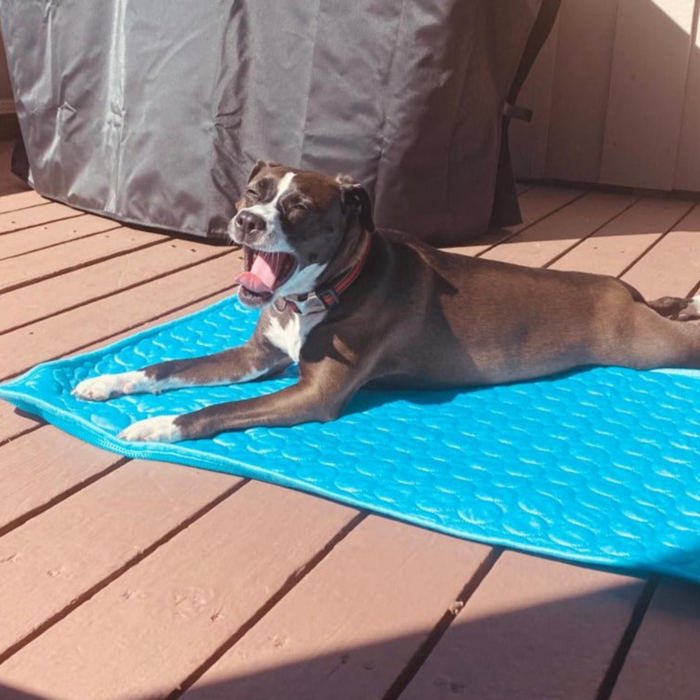 Pet Cooling Mat