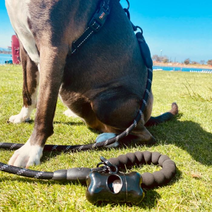 Reflective Dog Leash w/Poop Bag Dispenser