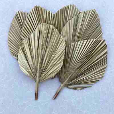 3pcs Natural, Sun-Dried, Hand-Painted Coastal GOLD Palm Leaves, Home & Party Decor, Weddings, Baby Shower, SAME DAY FREE SHIP 