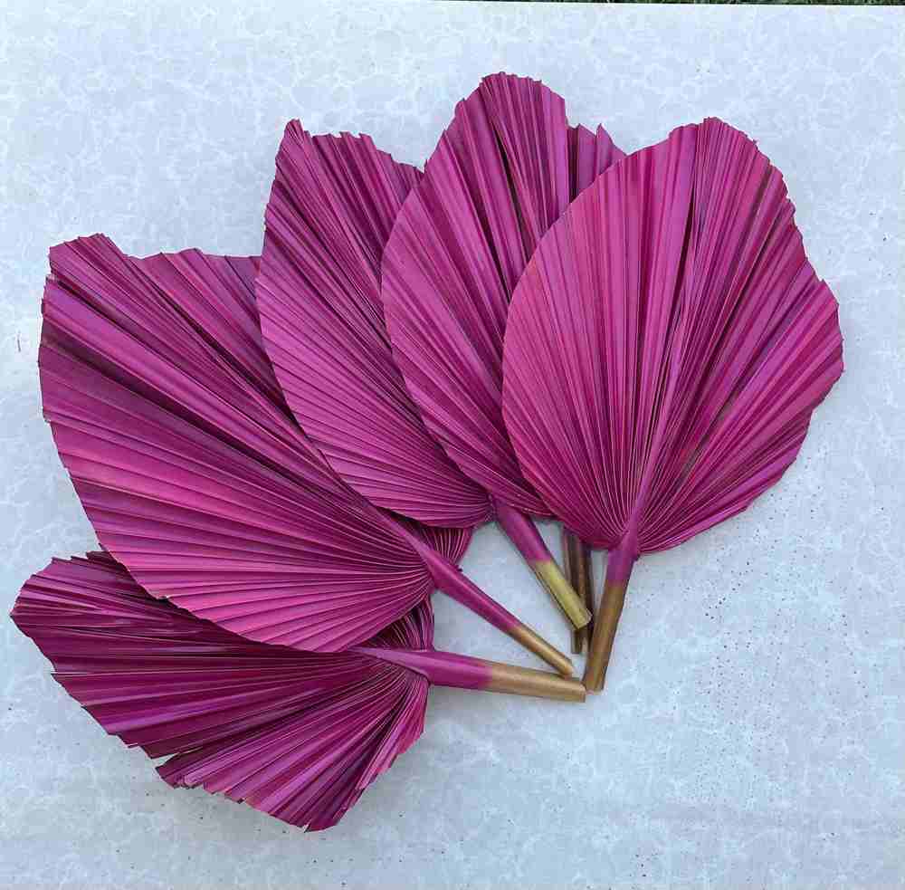 3 Pcs Sun-Dried, Hand-Painted, Non-toxic, Natural, PINK Palm Leaves for Home & Office Decor, Wedding, and Party Decor SAME DAY FREE SHIP