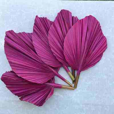 3 Pcs Sun-Dried, Hand-Painted, Non-toxic, Natural, PINK Palm Leaves for Home & Office Decor, Wedding, and Party Decor SAME DAY FREE SHIP