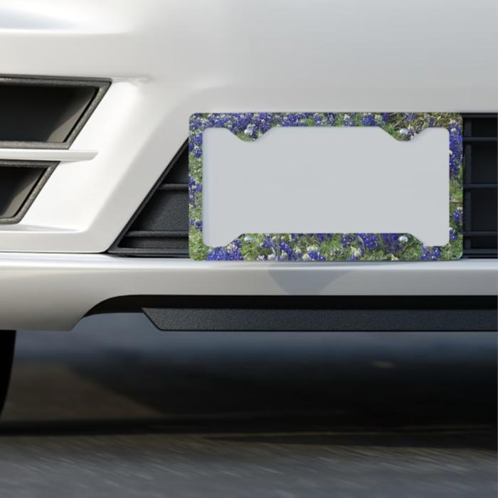 Bluebonnets License Plate Frame, Car License Plate Holder