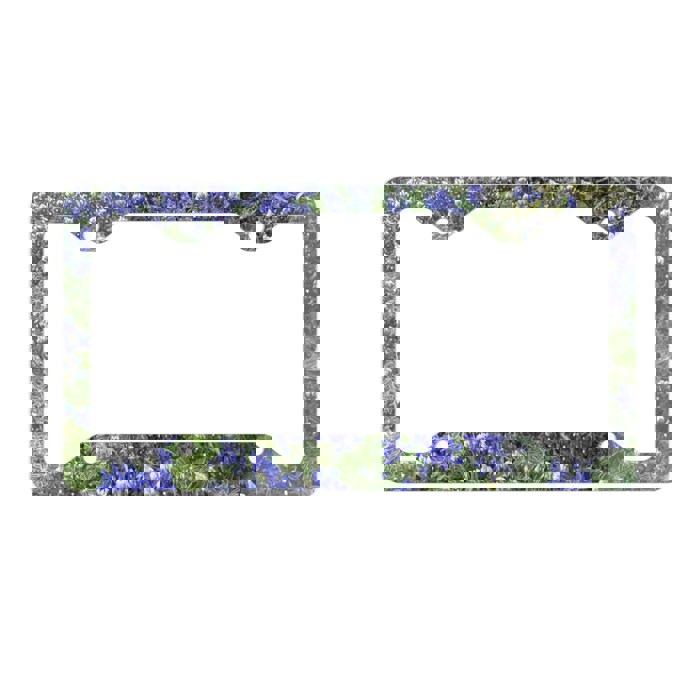 Bluebonnets License Plate Frame, Car License Plate Holder