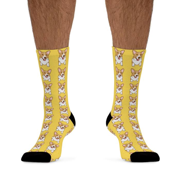 Corgi Socks for Eccentric Adults, Fun Birthday Gift