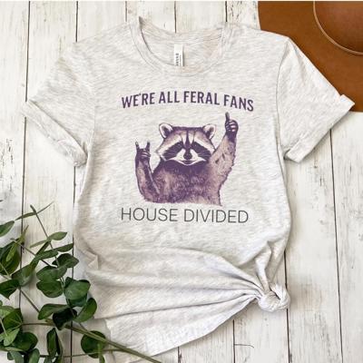 Raccoon House Divided Funny College Rivalry T-Shirt, Longhorns vs Aggies
