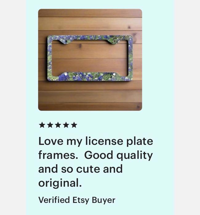 Bluebonnets License Plate Frame, Car License Plate Holder
