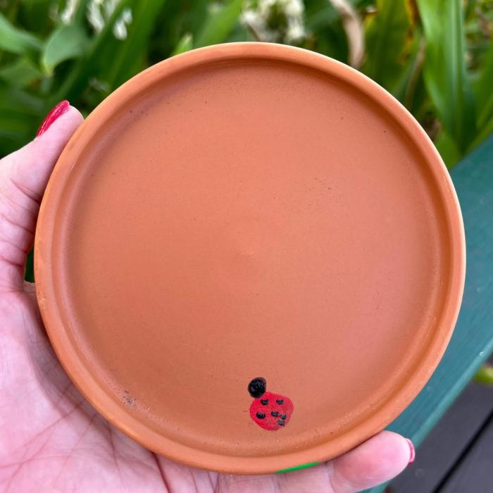 Butterfly Watering Station Hand Painted Terra Cotta Bee Waterer with Ladybug Design