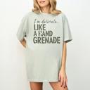  Sarcastic Funny Comfort Colors T-shirt, Delicate Like a Hand Grenade Shirt