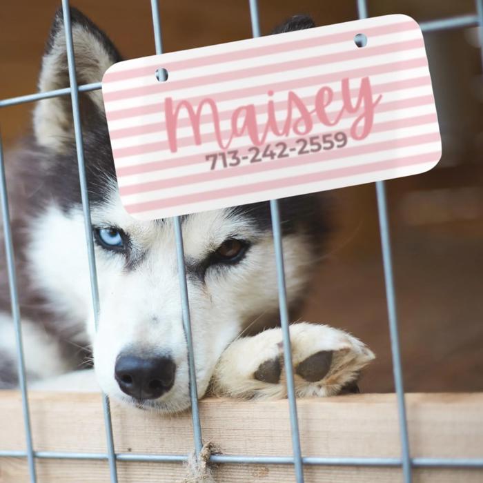 Custom Pet Kennel Name Tag, Personalized Crate Plate for Dogs or Cats, Great for Boarding Vet Visits Travel Carriers, New Pet Parent Gift