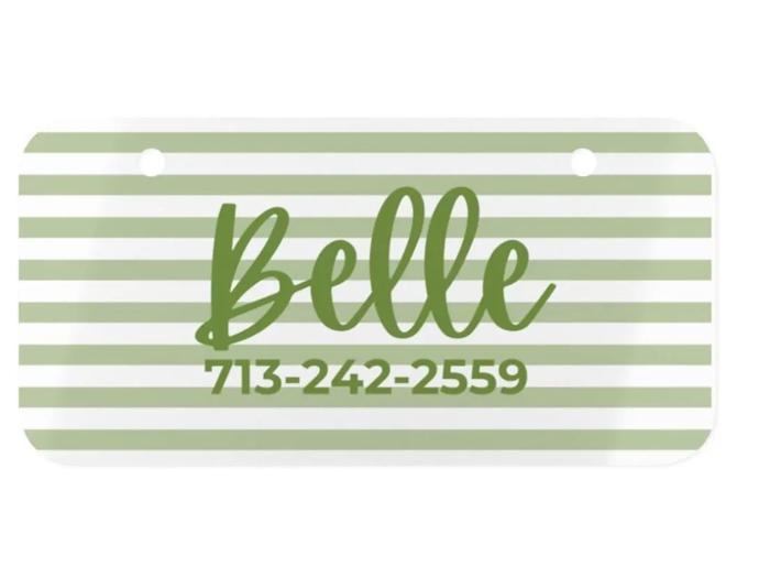 Custom Pet Kennel Name Tag, Personalized Crate Plate for Dogs or Cats, Great for Boarding Vet Visits Travel Carriers, New Pet Parent Gift
