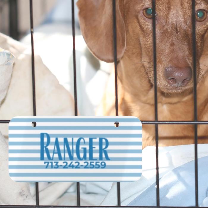 Custom Pet Kennel Name Tag, Personalized Crate Plate for Dogs or Cats, Great for Boarding Vet Visits Travel Carriers, New Pet Parent Gift