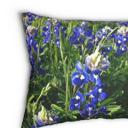  Texas Bluebonnets Lumbar or Square Throw Pillow