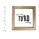  Don't Be A Turd Today - Mini Sign
