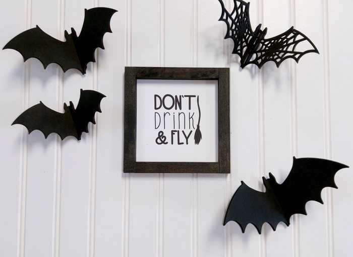 Don't Drink & Fly - Mini Sign