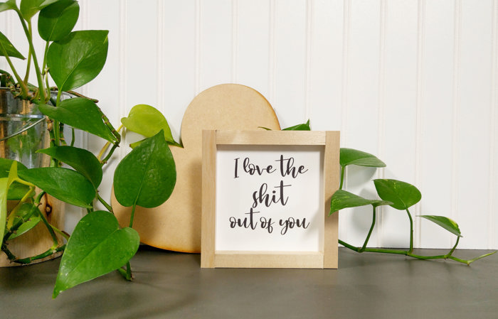 I Love The Shit Out Of You - Mini Sign