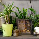  I Wet My Plants Often - Shiplap Wood Sign