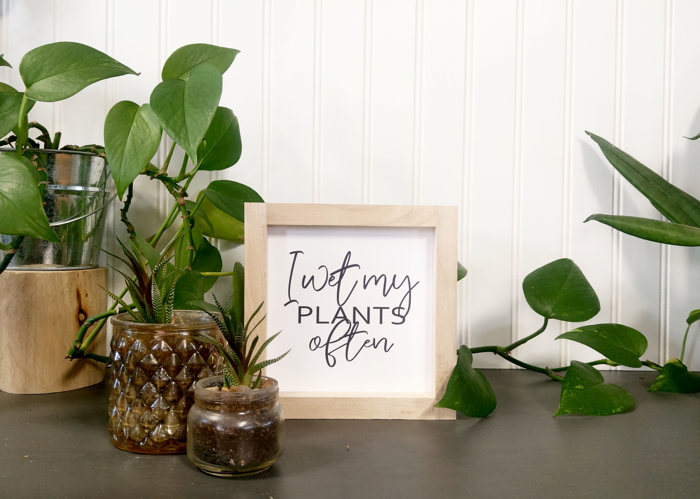 I Wet My Plants Often - Mini Sign