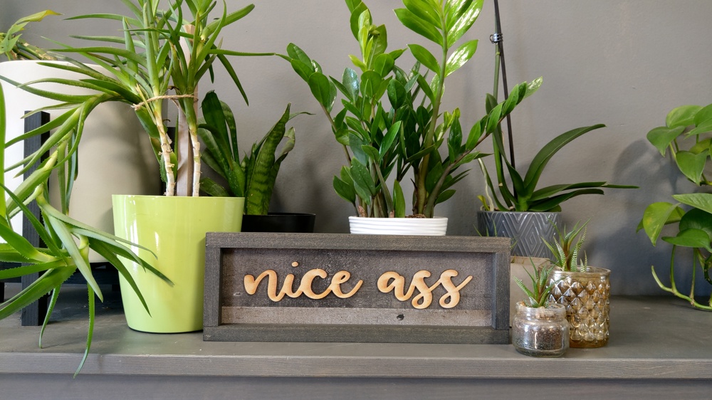 Nice Ass - Charcoal Shiplap Framed Sign