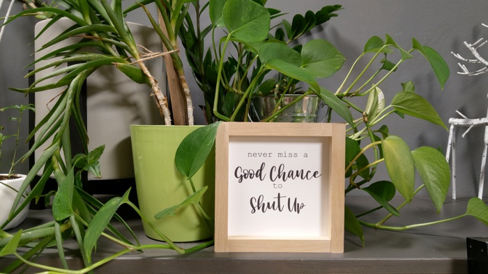 Never Miss A Good Chance to Shut Up - Mini Sign