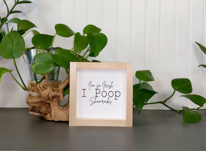 I'm So Irish I Poop Shamrocks - Mini Sign