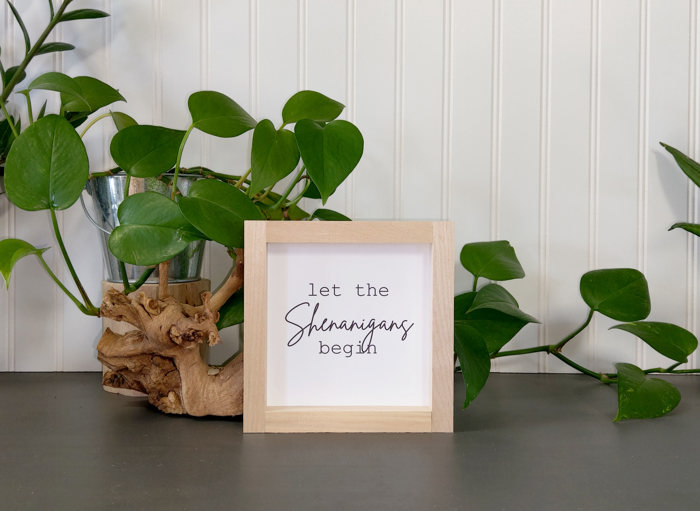 Let the Shenanigans Begin - Mini Sign