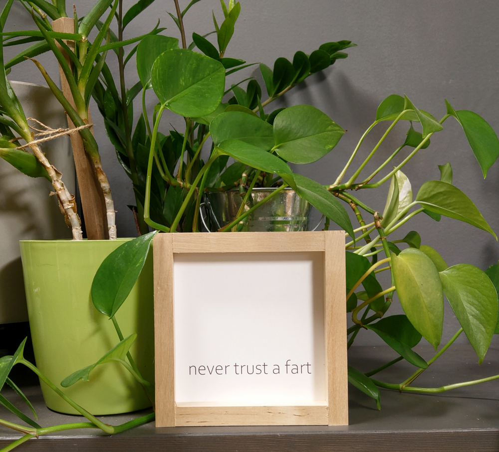 Never Trust a Fart - Mini Sign