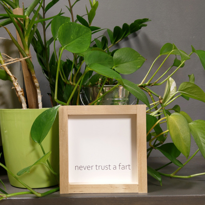 Never Trust a Fart - Mini Sign