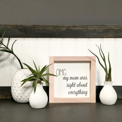 OMG My Mom Was Right About Everything - Mini Sign