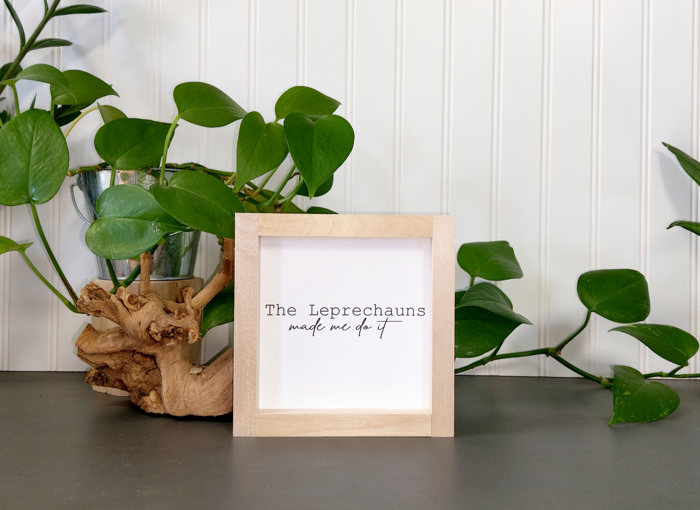 The Leprechauns Made Me Do It - Mini Sign