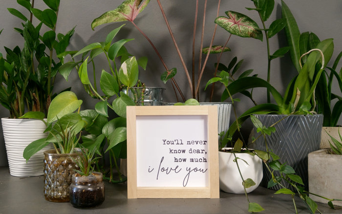 You'll Never Know Dear How Much I Love You - Mini Sign