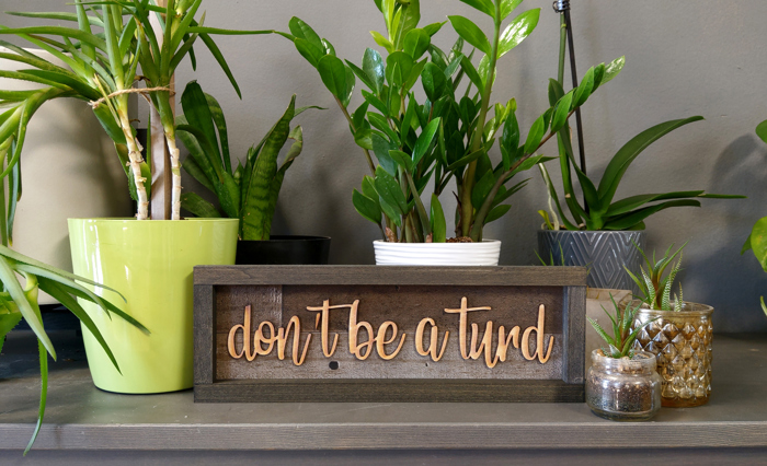 Don't Be A Turd Shiplap Rectangle Framed Sign in Charcoal