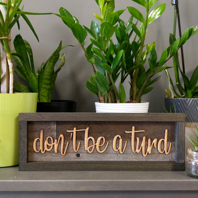 Don't Be A Turd Shiplap Rectangle Framed Sign in Charcoal